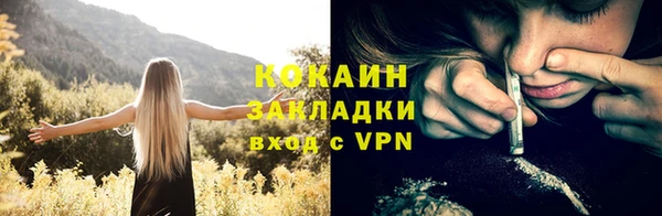 спайс Арсеньев