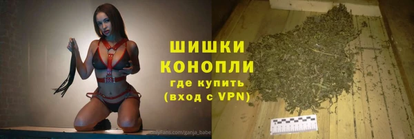 спайс Арсеньев