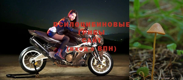 спайс Арсеньев