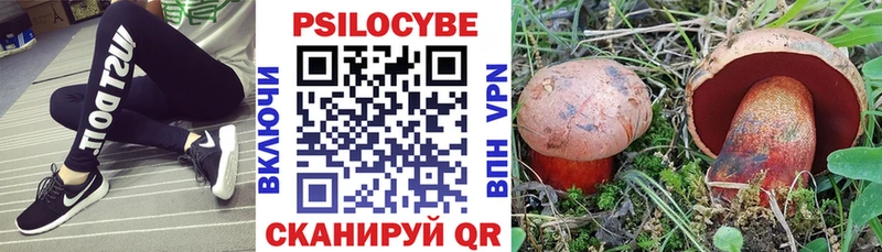 Галлюциногенные грибы Psilocybe  Заполярный 